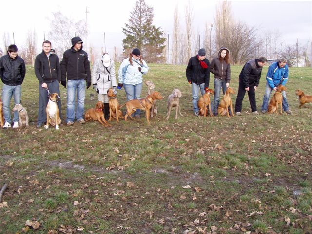 ohari 035.jpg